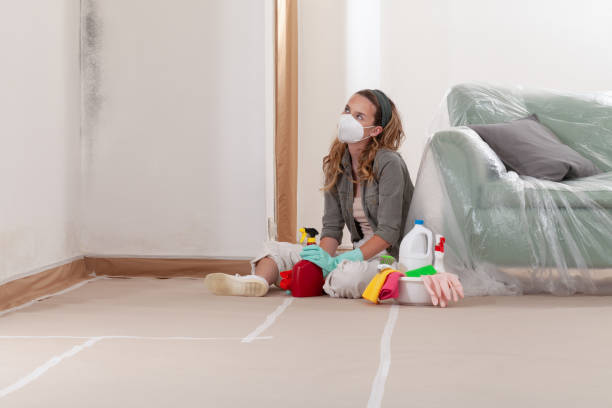 Reliable Black Mold Removal contractor in Shelbyville, MI by WQB Mold Removal